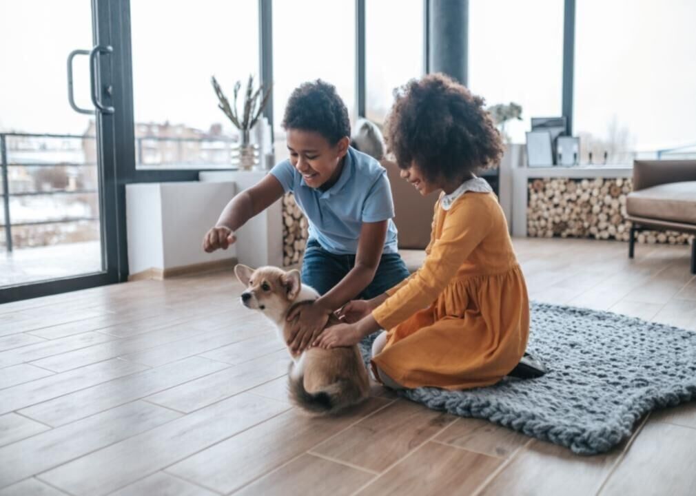 What to consider if you decide to adopt